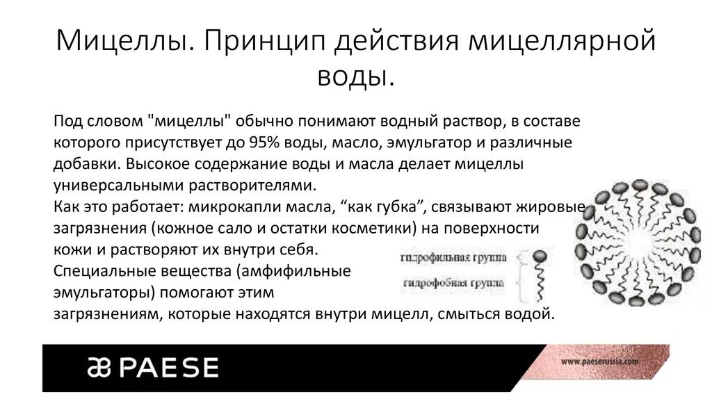 Мицелла это