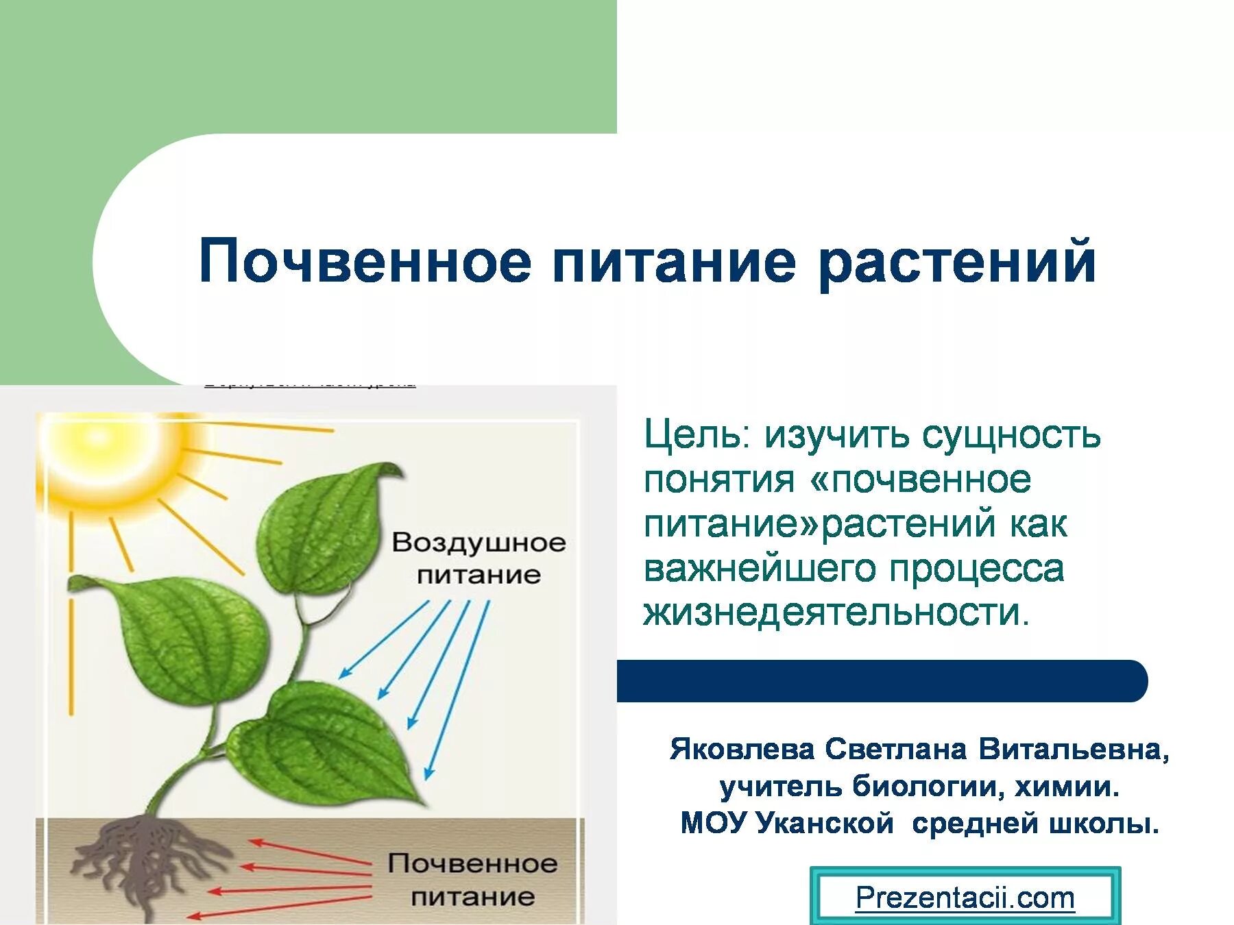 Выберите верное утверждение о минеральном питании растений. Питание растений. Почвенное питание растений. Процесс питания растений. Почвенное питание растений презентация.