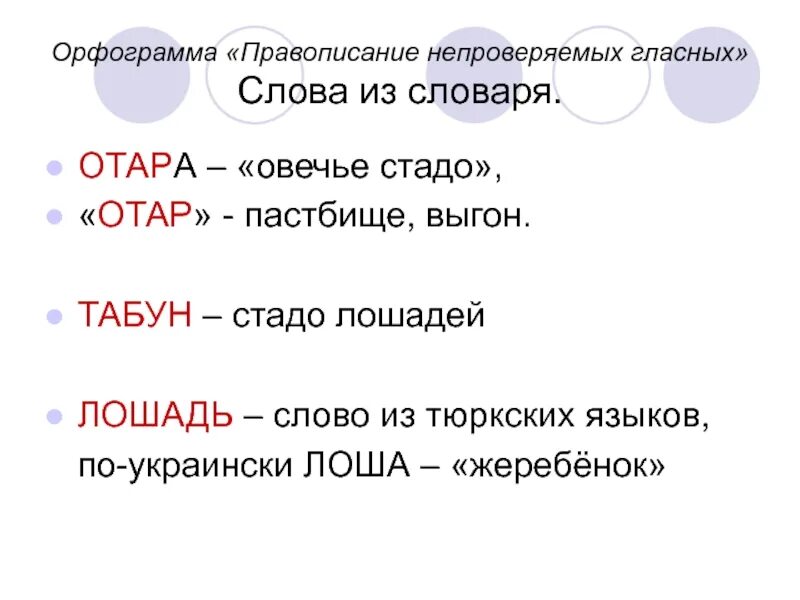 Замени слово стадо близким по значению словом. Глоссарий Отара. Стадо значение слова. Близкое слово стадо. Близкое по значению слово к слову стадо.