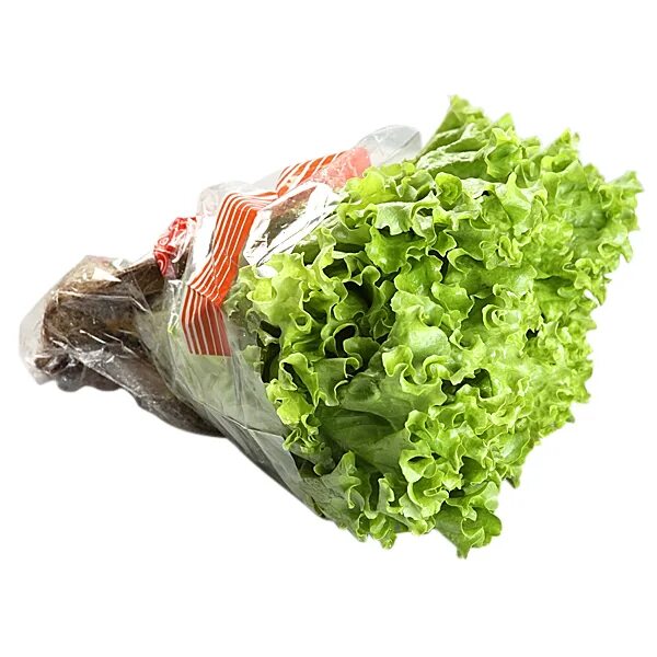Салат пачкой. Листья салата. Салат листовой. Салат листовой в упаковке. Салатные листья в упаковке.