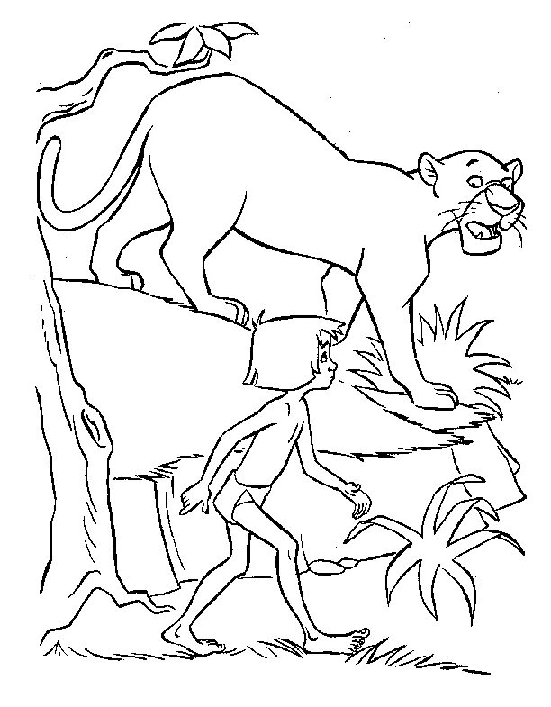 Рисунок маугли 3 класс. Маугли книга джунглей. Братья Маугли. Киплинг Маугли раскраска.