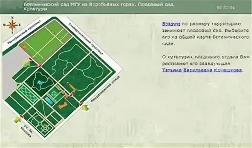 Мгу как доехать. План ботанического сада МГУ на Воробьевых горах. Схема ботанического сада МГУ на Воробьевых горах. Дендрарий ботанического сада МГУ Москва. Ботанический сад биологического факультета МГУ карта.