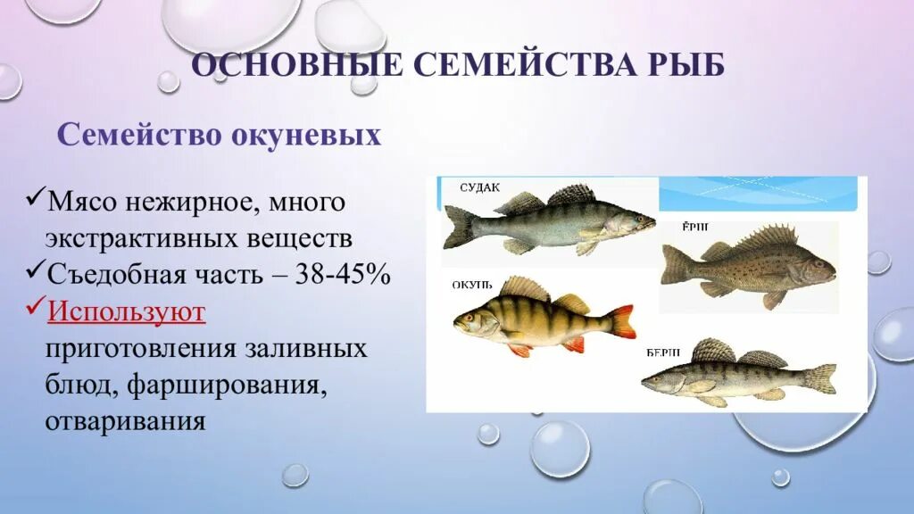 К какому семейству относится рыба. Семейства рыб. Семейства промысловых рыб таблица. Классификация семейства рыб. Окуневые виды рыб.