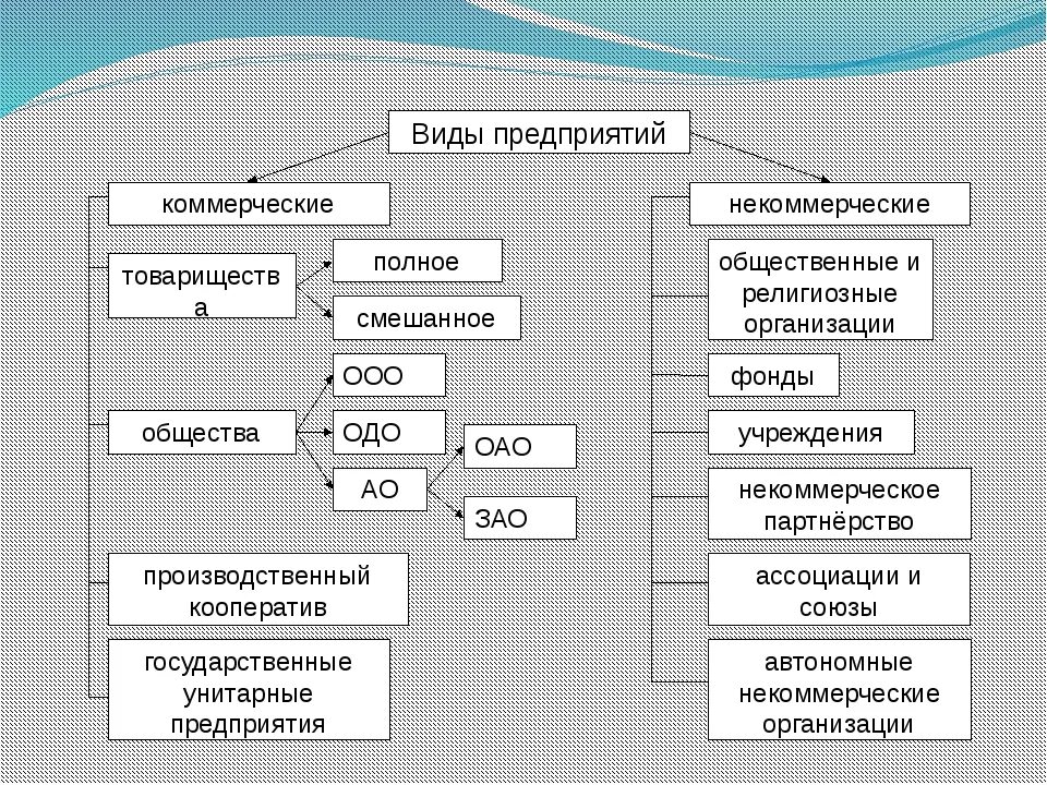 Назовите виды организаций и приведите примеры