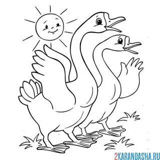 Раскраска два гуся на солнышке распечатать
