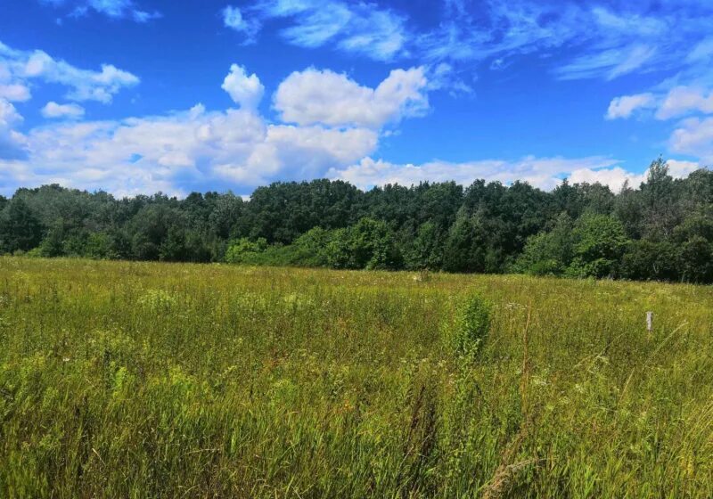 Первое цветово курского района. Ярополец земельный участок фото. Деревня духовец курск. Купить землю курский район 2я маква. Участок в духовце курск.