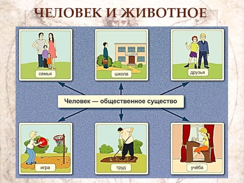 Обществознание 8 класс 2 урок. Презентация человек в экономике 8 класс. что делает человека человеком обществознание 8 класс. доклад об экономике по обществознанию 8 класс.