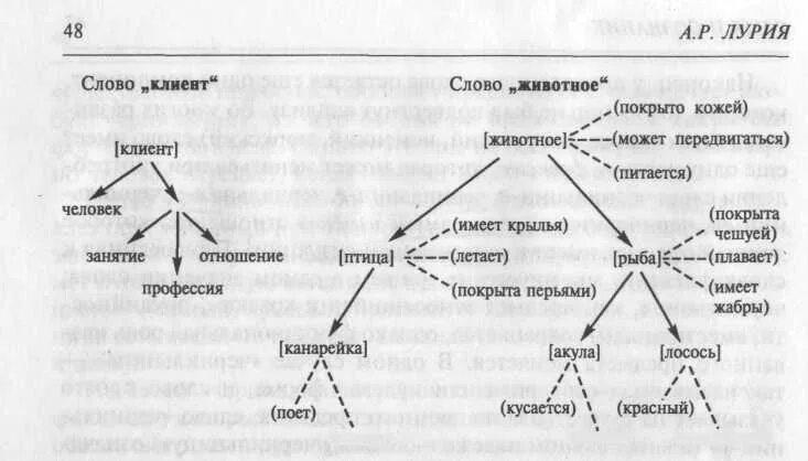 Тест лурия слова. Схема кодирования речи Лурия. Схема семантического поля. Схема смысловой структуры текста. Лурия а. "язык и сознание".