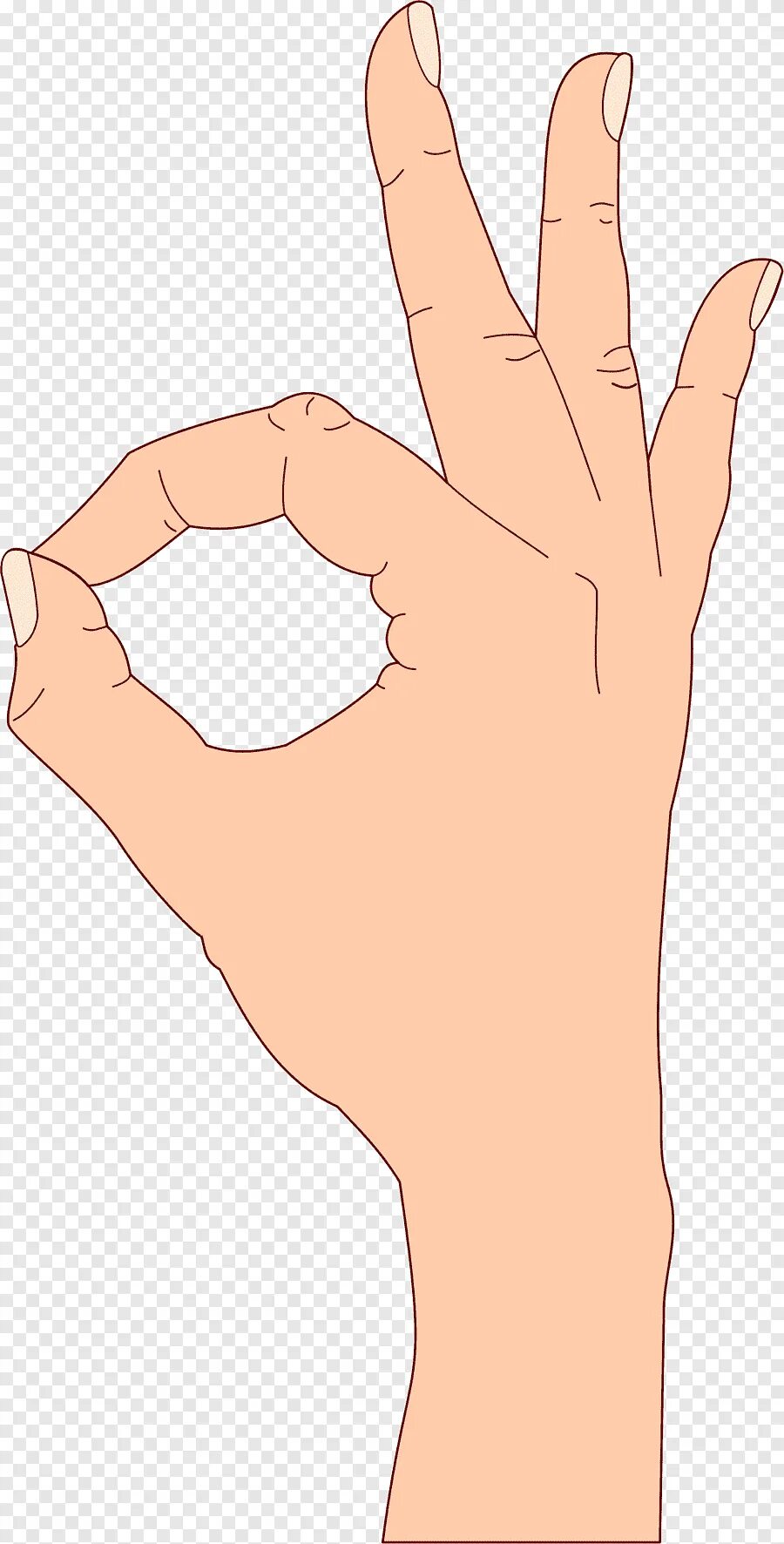 Fingers circle