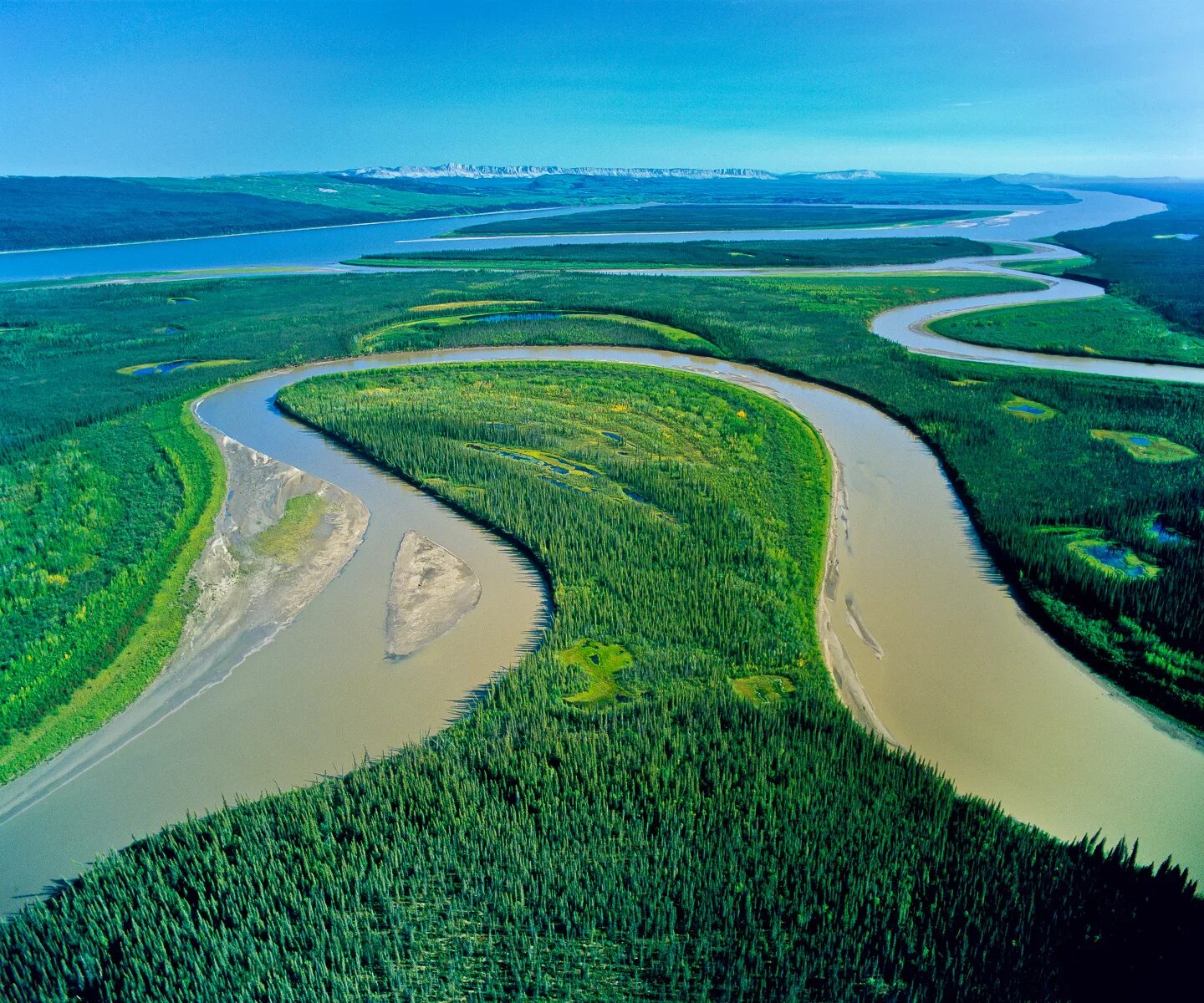 True river. Устье реки Маккензи. Бразилия Амазонская низменность. Река Маккензи Канада. Северная Америка река Маккензи.