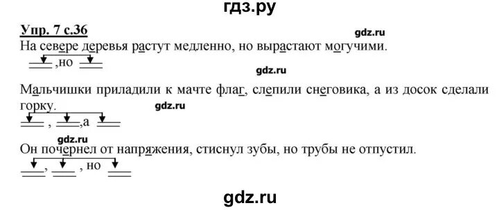 Желтовская. 4 Класс русский язык. Рабочая тетрадь..