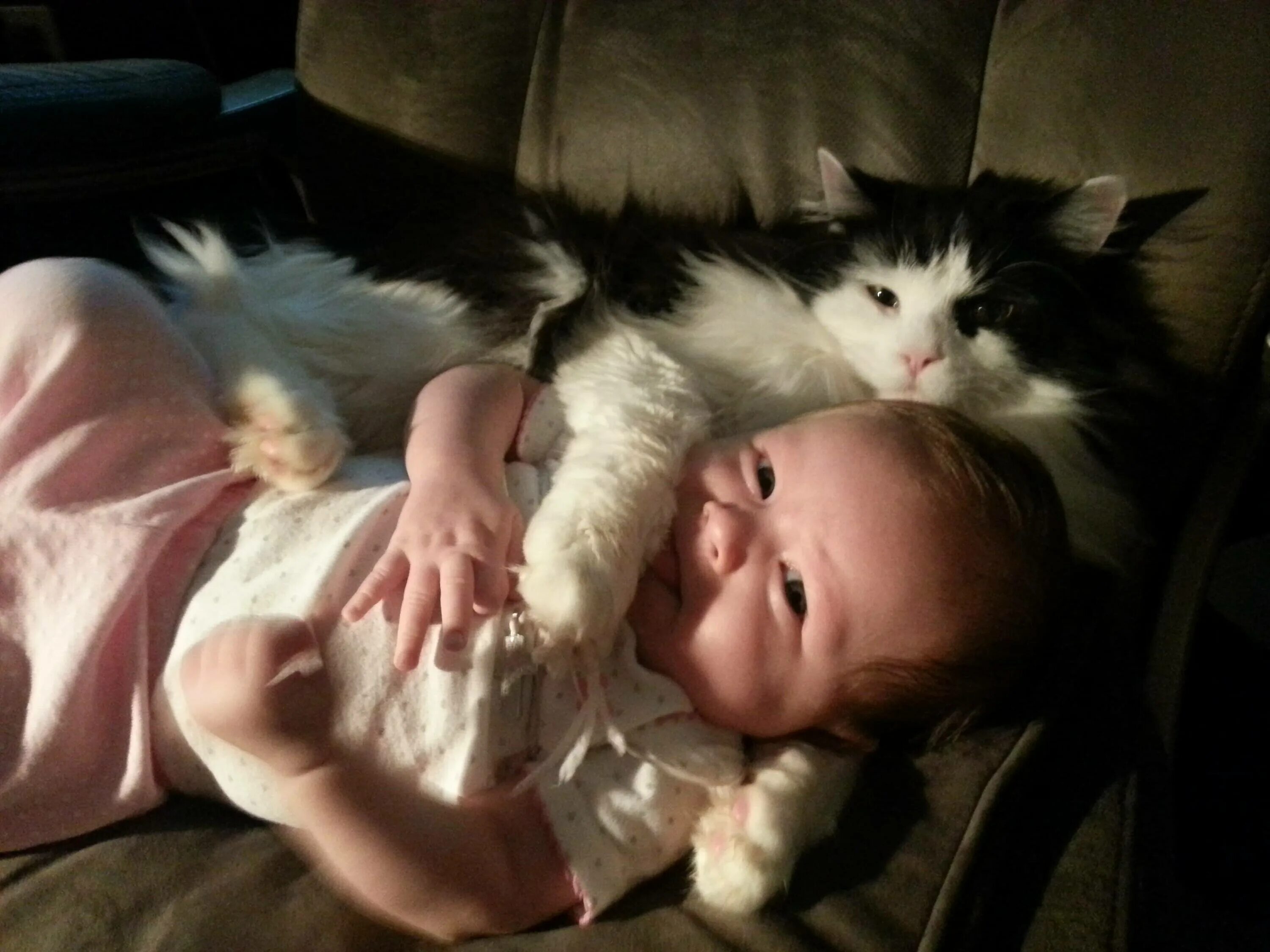 Кот не любит детей. Котёнок-ребёнок. Кошка для детей. Маленькие дети и кошки. Кот и младенец.