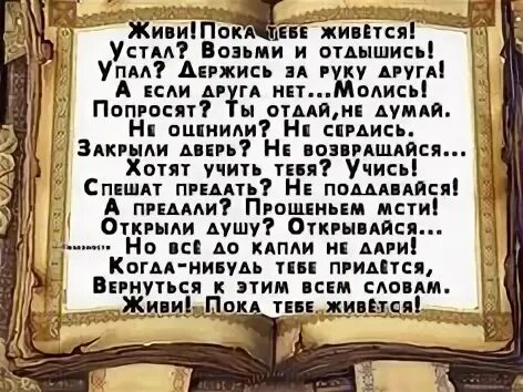 Ты живешь пока ты молод. Я живу стихи. Открытки с днем молодежи поздравления. Жив пока молод. Ты живешь пока ты молод.
