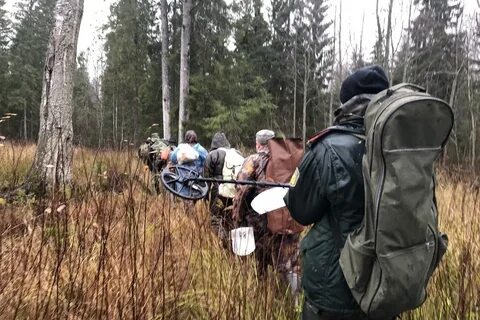 Погода кувшиново тверская область на 14