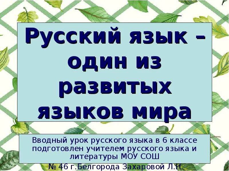 Вводные уроки русского языка