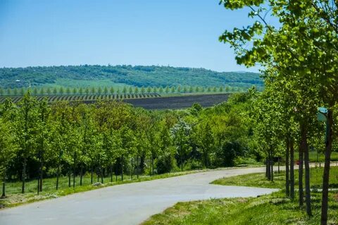 Крымский р н краснодарский край