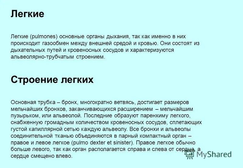 Виды изобразительного искусства таблица. К какому виду искусства относятся данное изображение. Какие тесты относятся к художественным. К какому жанру относится изображение животных. Какие тесты относятся к художественным.