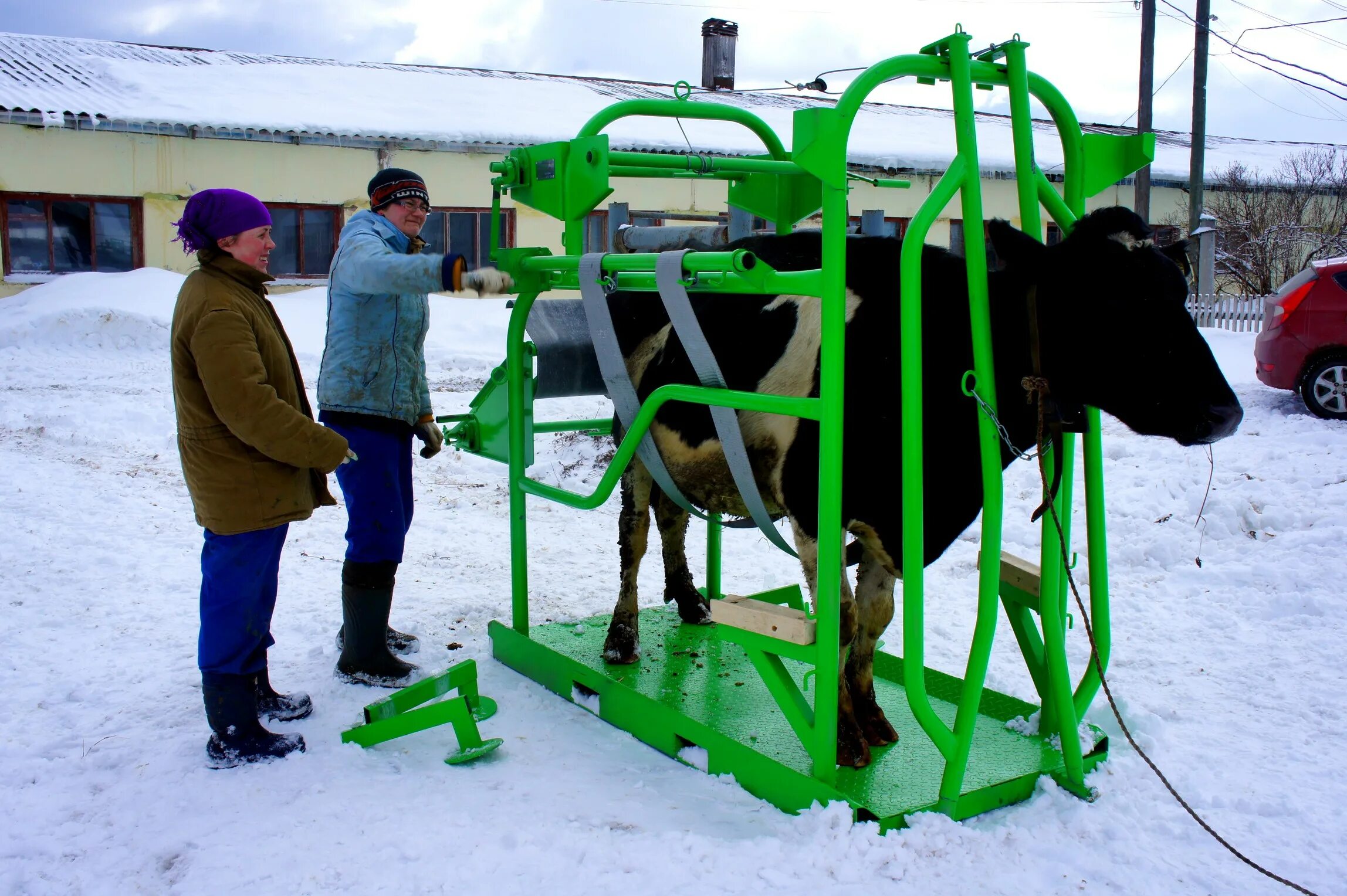 станок s013 для обработки копыт. станок для фиксации крс для обрезки копыт м1 (инв. станок s013 для обработки копыт priefert. станок для фиксации крс для обрезки копыт м1 (инв. станок крс.