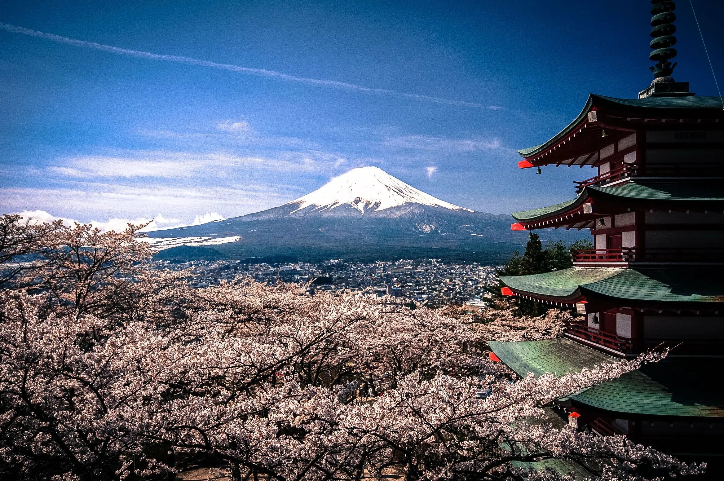 Гора Фудзияма в Японии. Киото Фудзияма. Япония Фудзияма Сакура храм. Гора Фудзи в Японии.