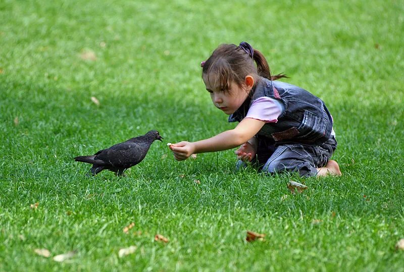 Birds children weather. Птицы для детей. Птицы в парке. Детишки птиц. Дети голубей.