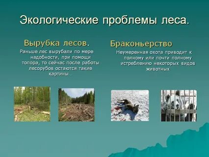 Проблемы экологии определение