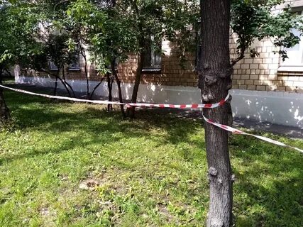 Найденные дети которых нашли на улице
