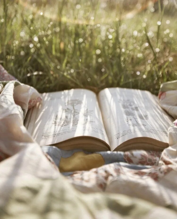 Чтение на природе. Чтение книг. Читает книгу. Лето с книгой. Хорошие мысли о книгах