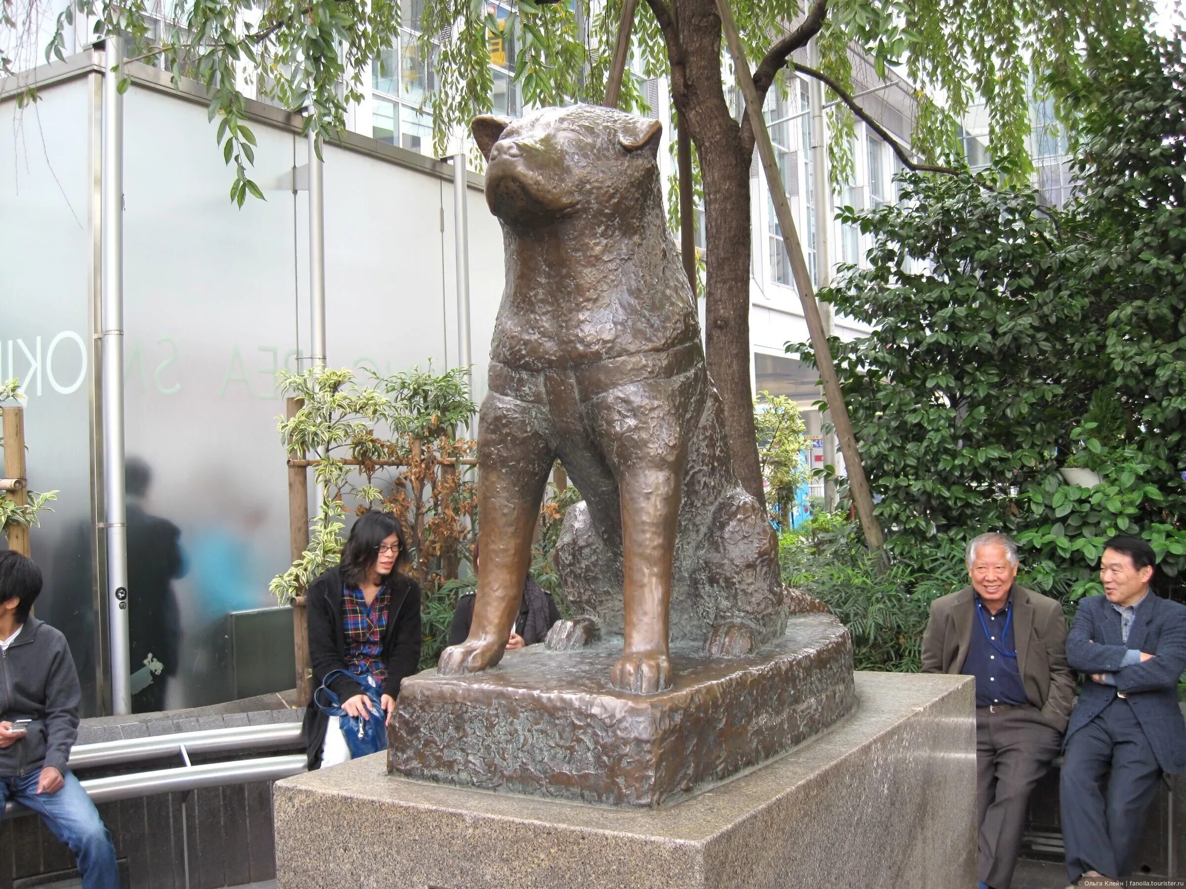 Памятник собаке Хатико в Японии. Хатико статуя в Японии на станции Сибуя. Станция Сибуя Япония Хатико. Памятник Хатико на станции Сибуя.