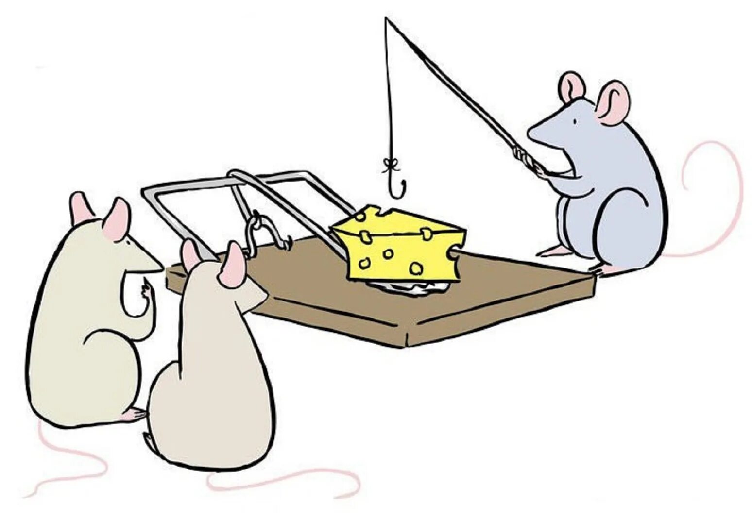 Мышка в мышеловке. Мышь сыр мышеловка. Сыр в мышеловке. Мышь попалась в мышеловку. Про мышей и сыр