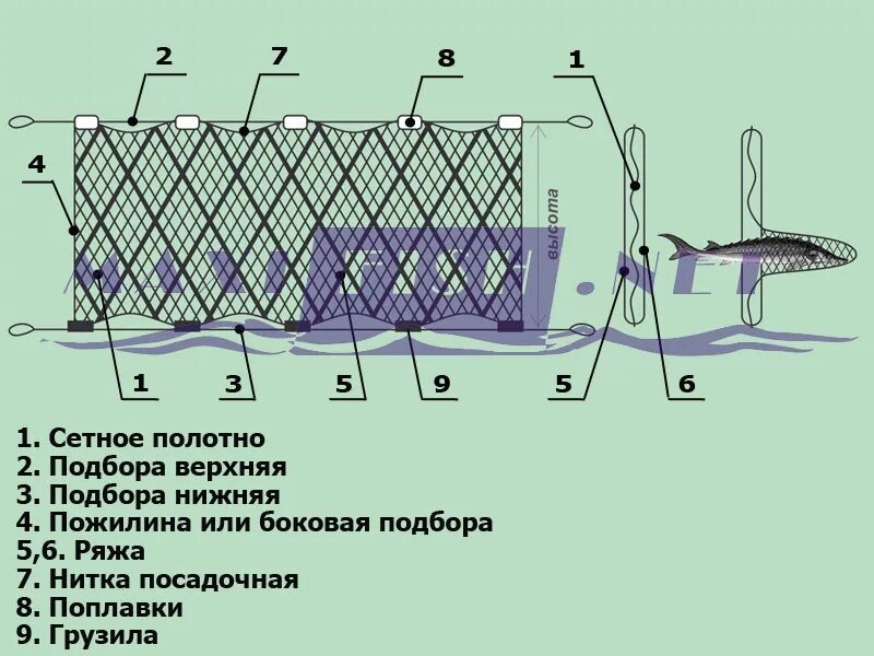 Трехстенная сетка трехстенная рыболовная. Сеть ряжевая трехстенная. Рамовые рыболовные сетки. Конструкции рыболовных сетей. Можно ли ставить сети