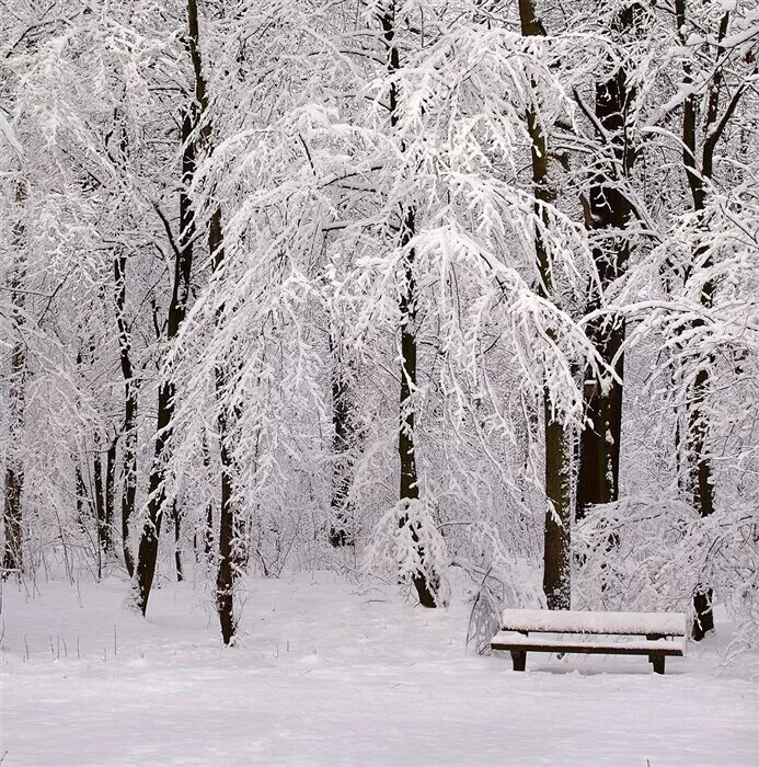 Снег идет пушистый белый. Падающий снег. Белый снег. Пушистый снег. Зима белый снег.