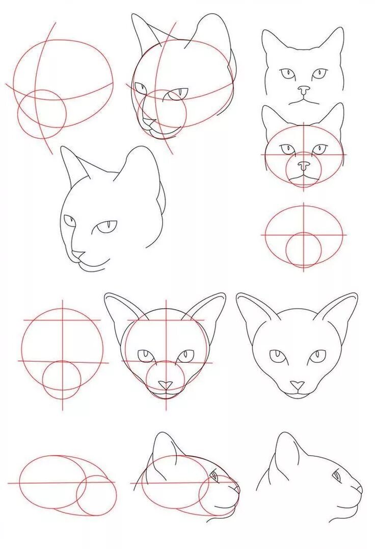 Как нарисовать розу. Рисунок розы