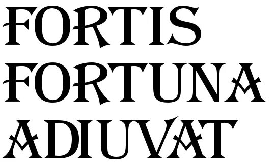 Fortis fortuna adiuvat татуировка джон уик. Fortis fortuna adiuvat татуировка джон уик. Джон уик татуировки. Фортуна фортис адъювант. Fortes fortuna adjuvat тату.