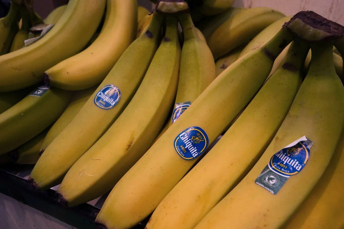 Из какой страны бананы. Chiquitita бананы. fyffes бананы. бананы чикита эквадор. бананы производитель.