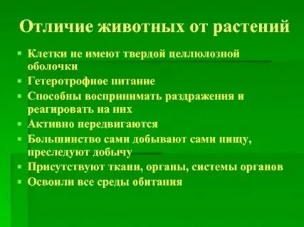 Чем питание животных отличается от растений кратко. Чем питание животных отличается от растений кратко