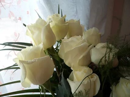 Цветы картинки домашнее фото
