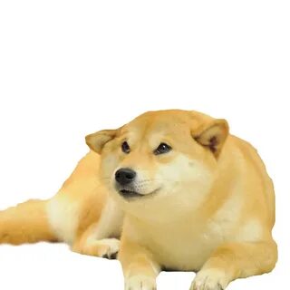 Dogies