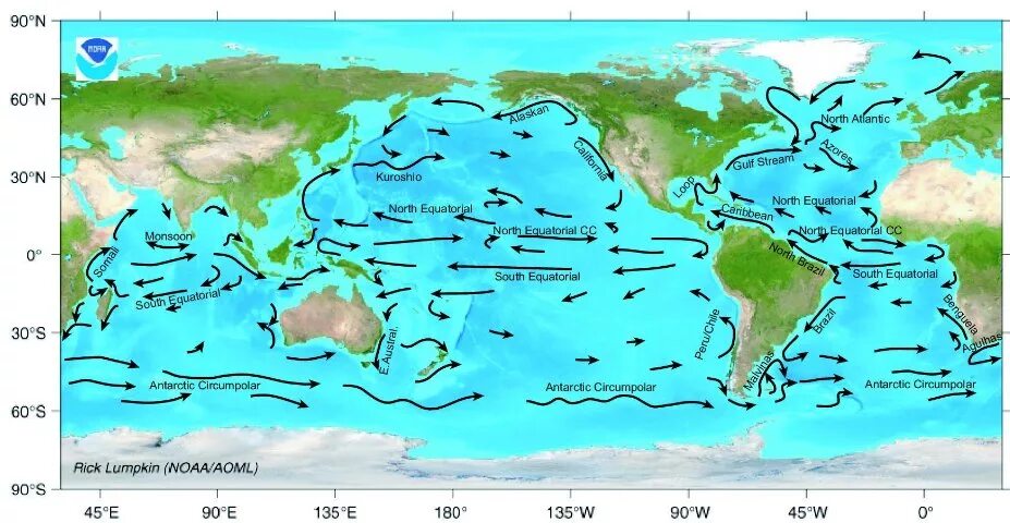 Многообразие течений. Течения океанов. Карта океанических течений. Карта течений Тихого океана. Течения в океане карта.