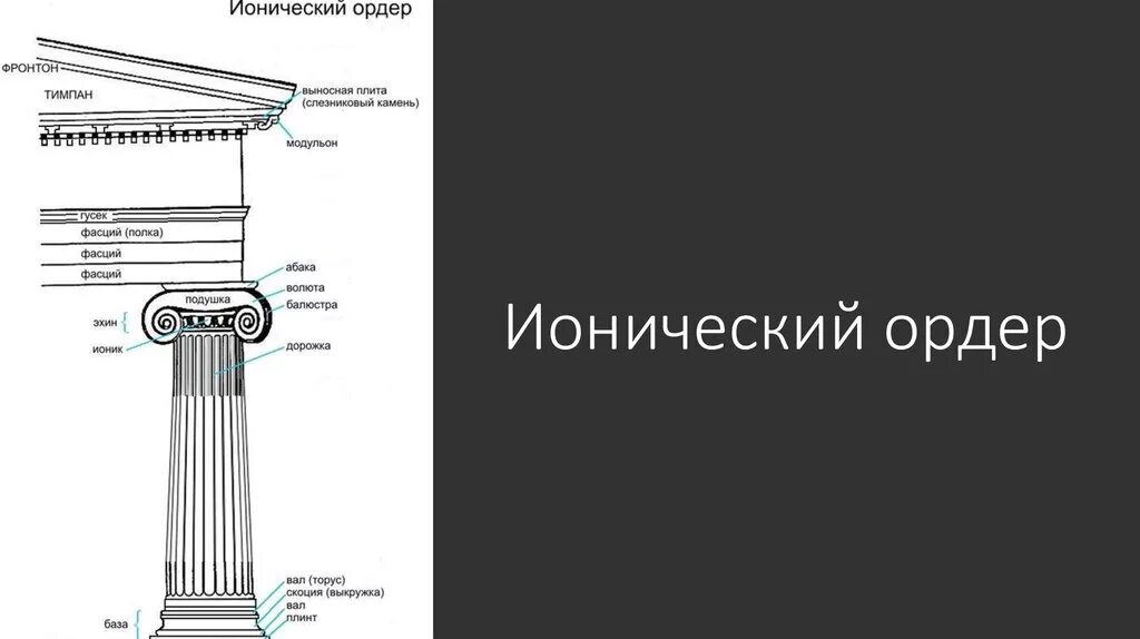 Ордеры оригинал. Ионический ордер храм Артемиды. Храм Аполлона Ионического ордера. Балюстра ионический ордер. Ионический ордер фасций.