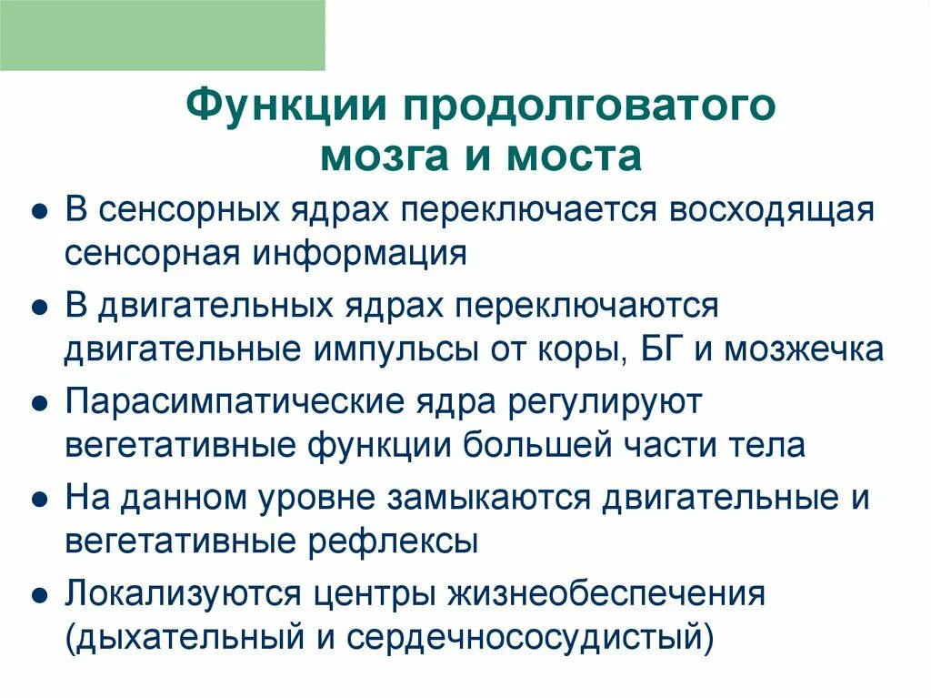 Каковы функции продолговатого. Проводниковая функция продолговатого мозга. Функции продолговатого мозга. Функции продолговатого мозга и моста. Продолговатые мог функции.