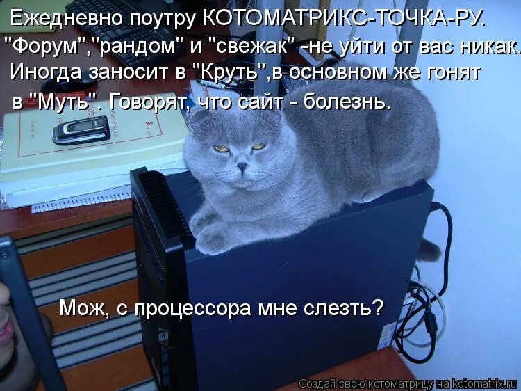 Уходя заблокируй компьютер. Кот и компьютер. Котик с компьютером. Кот с компьютером Мем. Кот и компьютер юмор.