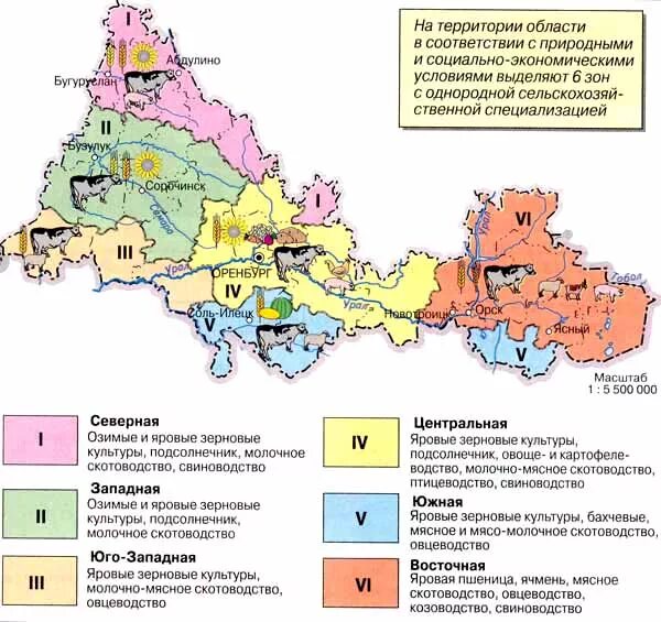 Отрасли промышленности Оренбургской области. Карта сельского хозяйства. Сельскохозяйственные зоны России. Сельскохозяйственные зоны Оренбургской области.