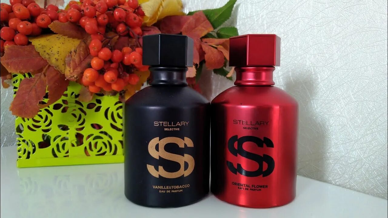 Stellary oriental Flower духи. Духи Stellary selective. Духи магнит Косметик ваниль стелари. Духи Stellary Wild Beauty. Туалетная вода stellary