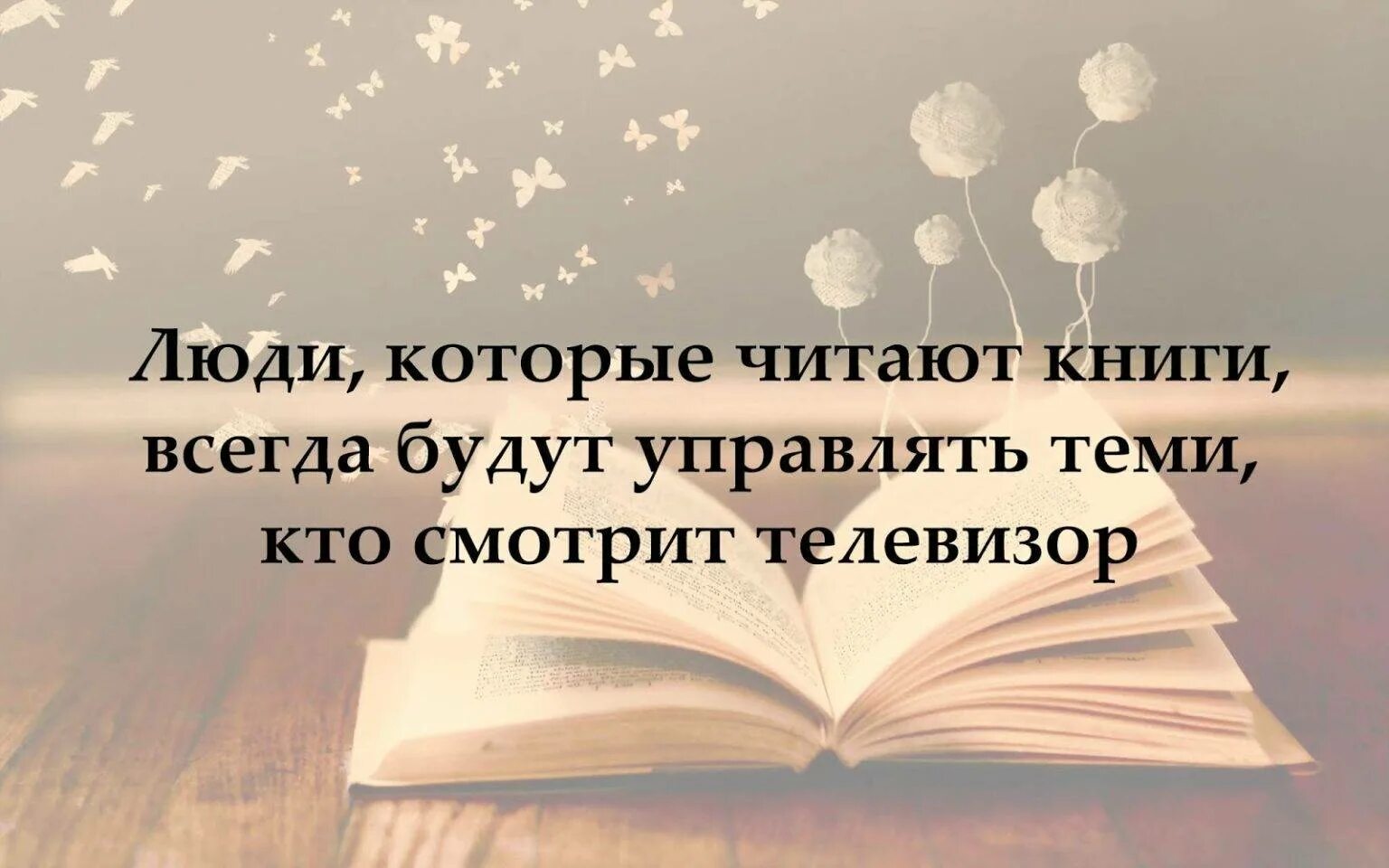 Книги надо любить. Цитаты про книги. Цитаты про чтение. Красивые высказывания о книгах. Цитаты о книгах и чтении.