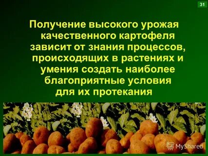 Качество урожая