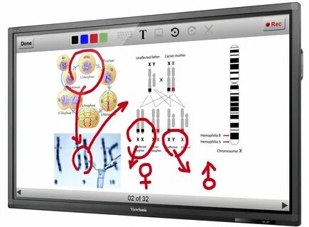 Interactive 4