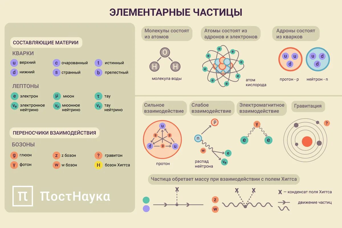 Элементарные частицы образующие энергетические уровни. Какие бывают элементарные частицы. Из чего состоят элементарные частицы. Стандартная модель строения элементарных частиц.