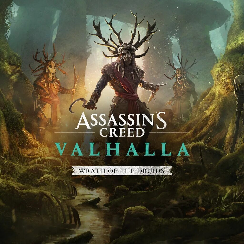 Ас вальгалла гнев друидов. Assassin's creed valhalla гнев друидов орден. Ассасин крид вальгалла. Assassin's creed valhalla друиды. Игра вальгалла гнев друидов.
