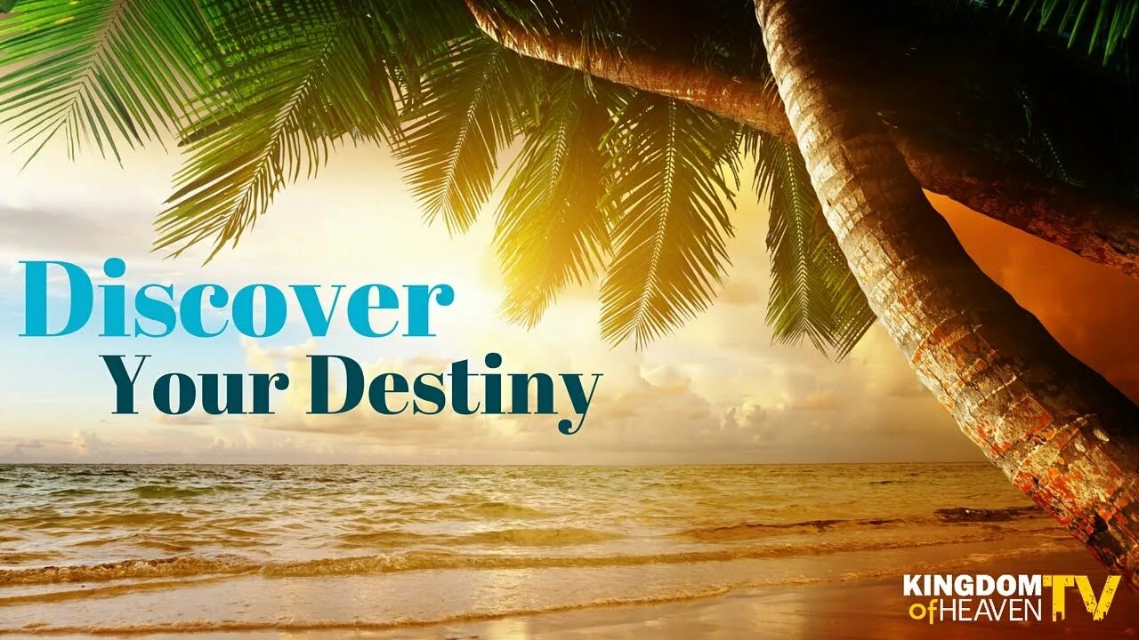 Discover. Your ability. Discovers. To discover. A big discover