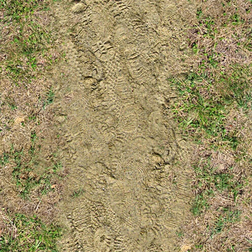 Path texture